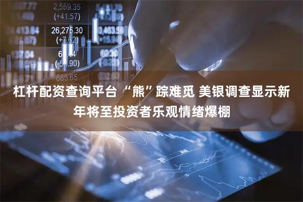 杠杆配资查询平台 “熊”踪难觅 美银调查显示新年将至投资者乐观情绪爆棚